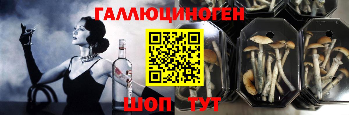 Псилоцибиновые грибы Cubensis  Вход с VPN  Галлюциногенные грибы Psilocybe  Избербаш 